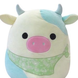 Meet your Posher, Heidi